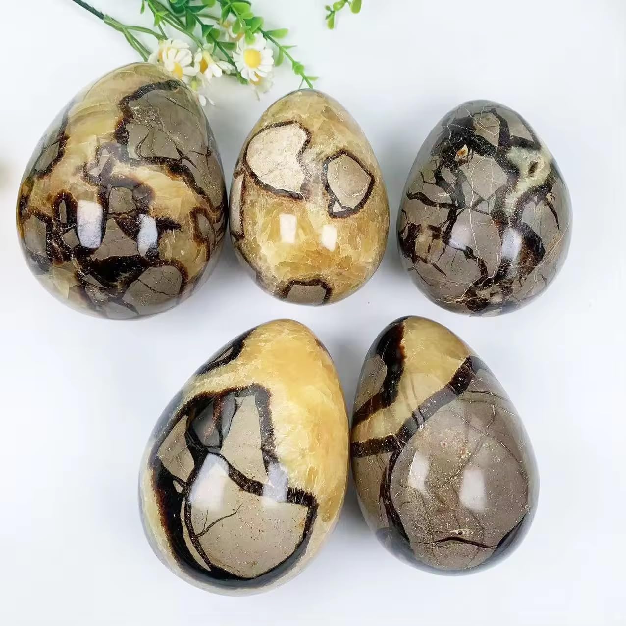 Madagascar Septarian Dragon Egg, Polished Natural Crystal Specimen for Grounding and Balance, Unique Septarian Egg for Altar Decor and Healing (4-4.5LB)