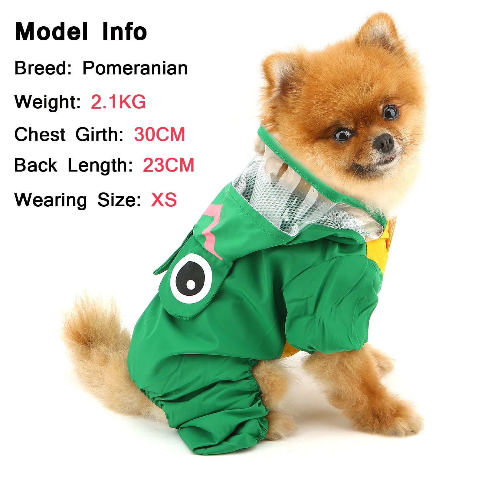 SMALLLEE_LUCKY_STORE Cute Frog Raincoat for Small Dogs with Hoood Leash D-ring Puppy Botton Down Rain Jacket Full Boby 4 leg Jumpsuit Lightweight Waterproof Clothes,Green M - Image 3