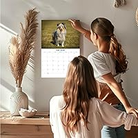 Vista 1322 de Razas de Perros 2017