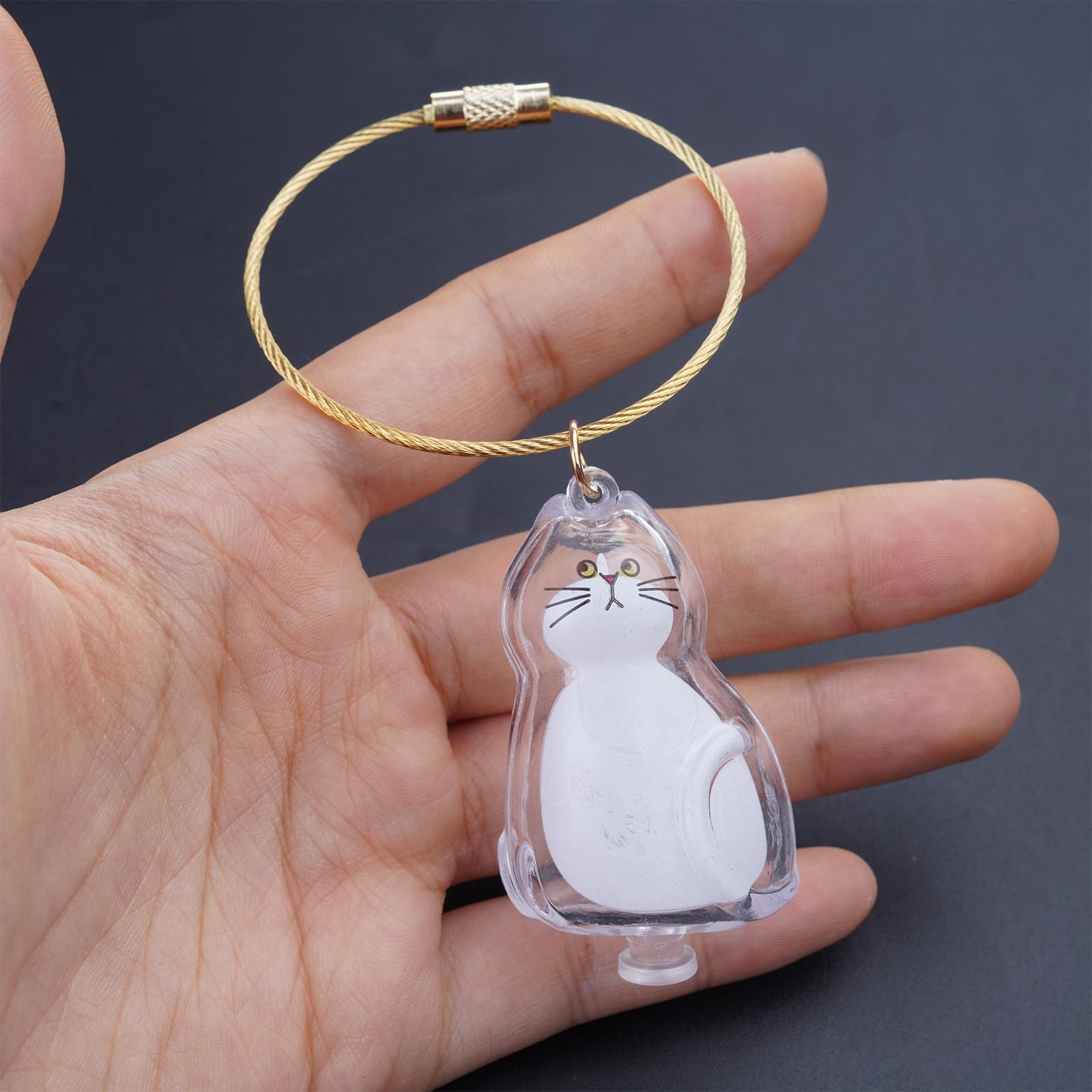 LUOFENG Pet Hair Memorial Display Box With Rope Cats,Pet Hair Keepsakes Display Box Cats Furs Collectible Storage Container Keychain Pendant Home Decors - Image 2
