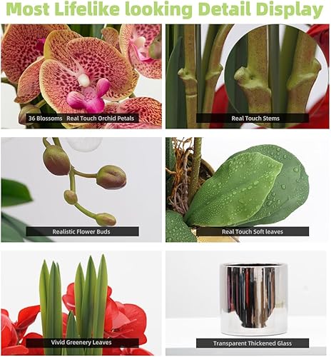 Vista 127 de CXGS Plantas artificiales de orquídeas artificiales de tacto real, orquídeas falsas en jarrón de cerámica de 20.9 pulgadas, orquídea falaenopsis