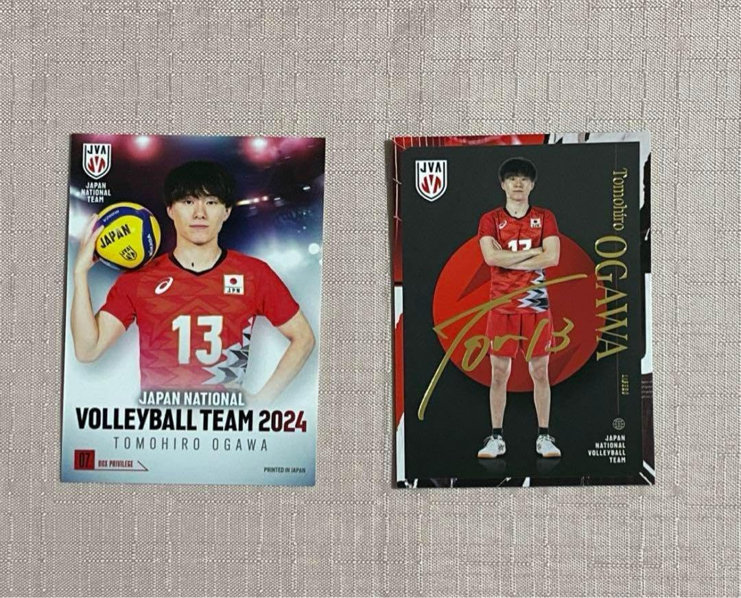 海洋堂 原型:松村しのぶ ガメラ ギャオス セット レジンキット【内袋 海洋堂 原型:松村しのぶ ガメラ ギャオス セット レジンキット【内袋