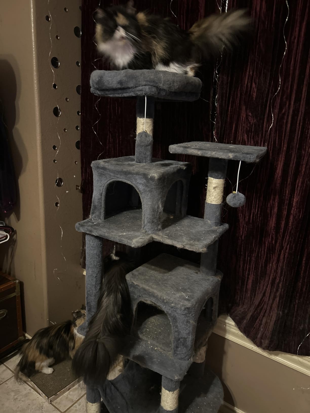 FDW Cat Tree 54in Cat Tower Multi-Level Durable Cat Scratching Post & Cozy Fun Cat Jumping Platform Space Saving Cat Condo Pet Play House for Indoor Cats,Dark Gray photo review