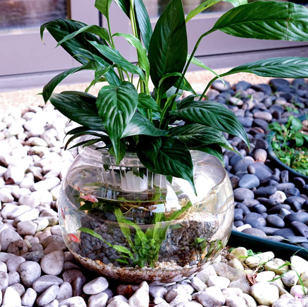 オメガ様オーダー専用ページ　アクリル金魚鉢フラワーアレンジ　大1 小4 Amazon | 金魚鉢 丸型金魚鉢 高プラスチック透明アクリル 観葉