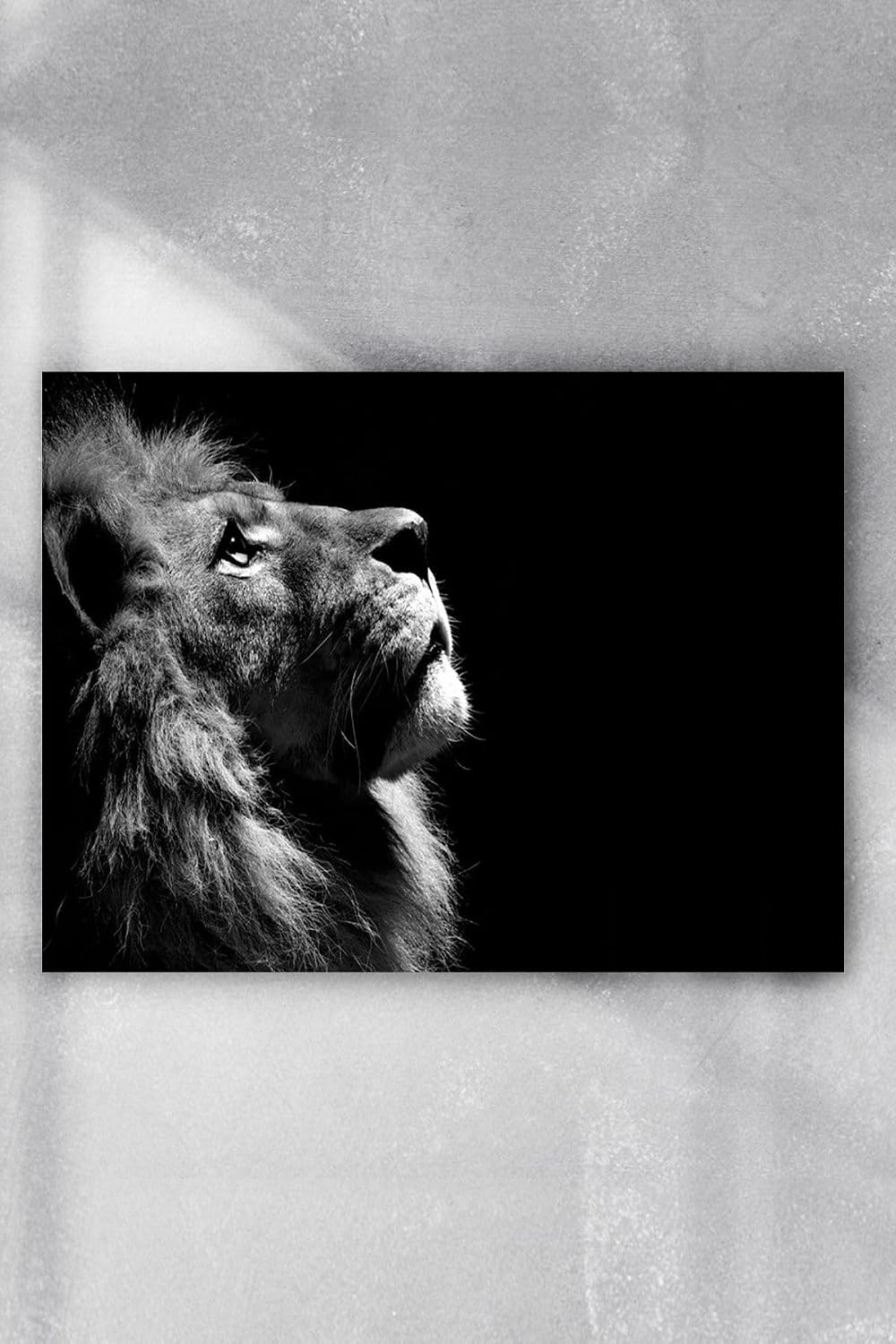 Postermanya (pster2566) Aslan Motivasyon Poster 5 (90x130cm)