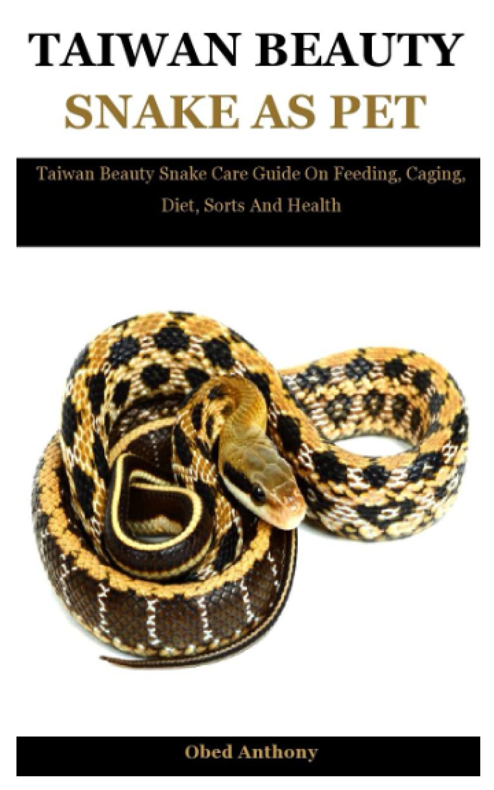 Taiwan Beauty Snake As Pet: Taiwan Beauty Snake Care Guide On Feeding, Caging, Diet, Sorts And Health