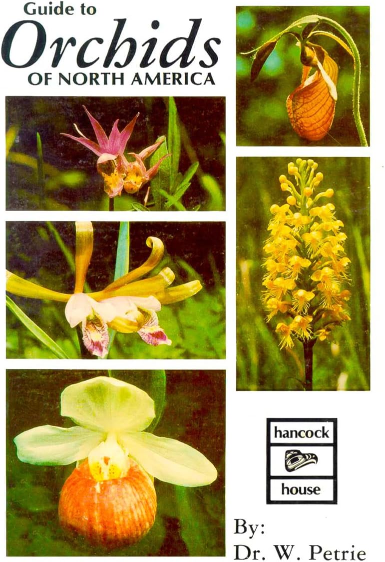 Orchids of North America