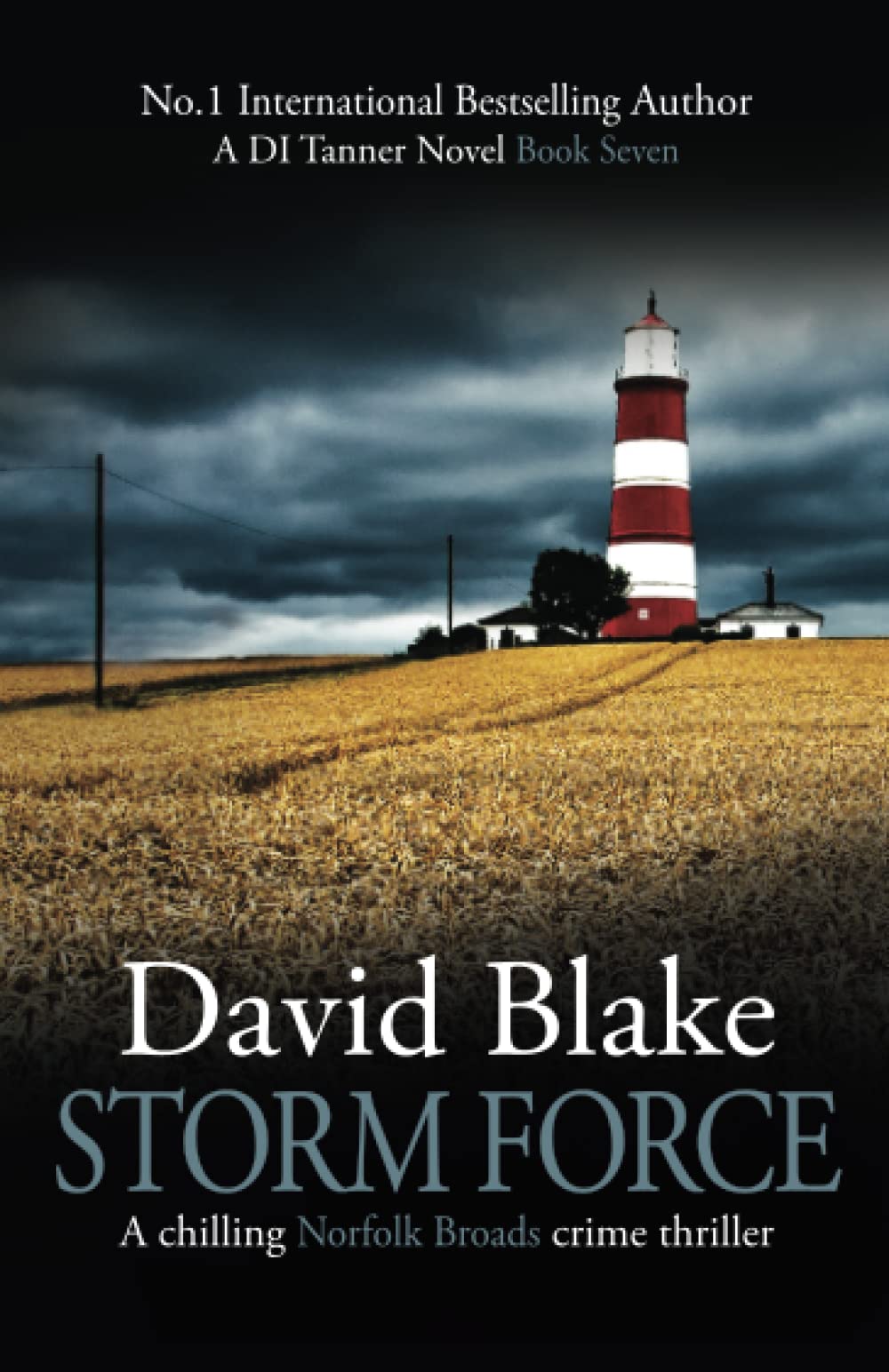 Storm Force: A chilling Norfolk Broads crime thriller (DI Tanner Norfolk Broads Murder Mystery Series)