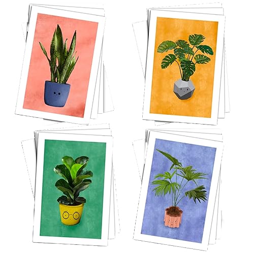 Wright Home & Gift Potted Succulents All-Occasion Blank Note Greeting
