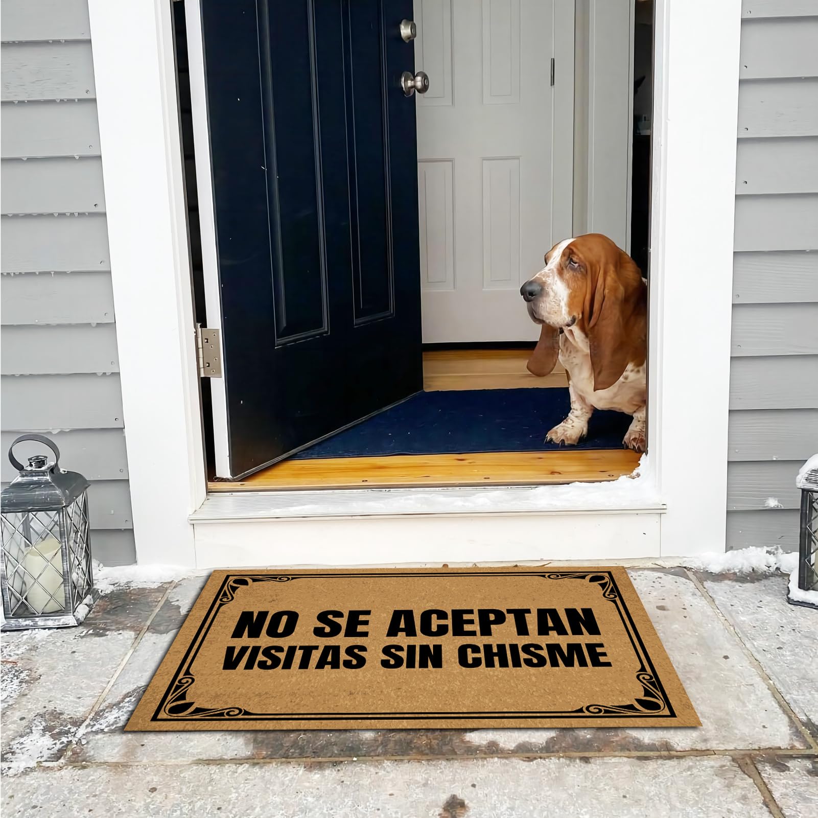 Amazon.com: Ayatow Front Door Mats Outdoor Entrance Outside Funny