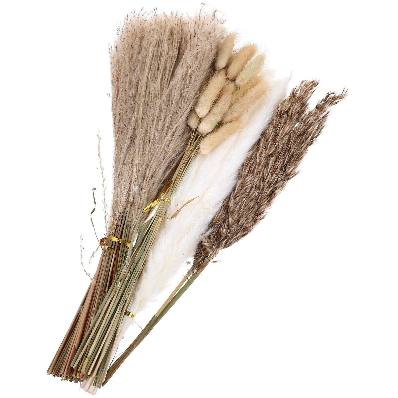 Flores Secas Preservadas de Phragmites en Caja Ramo Decorativo de Pampa Seca para Decoración Floral del Hogar Arreglo Floral sin Mantenimiento Accesorio DIY