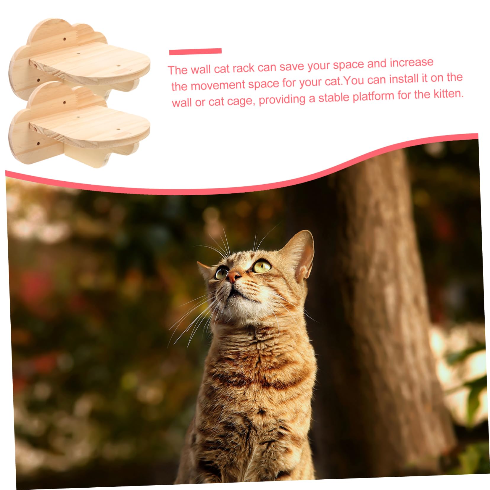 Sosoport 2stücke Teiliges Katzenwandregal Aus Holz Wandmontierte Katzenstufen Für Klettern Und Spielen Sicheres Und Stabiles Katzenmöbel Für Innenräume Für Katzenliebhaber