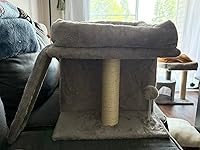 Review Image by Bailey Bailey