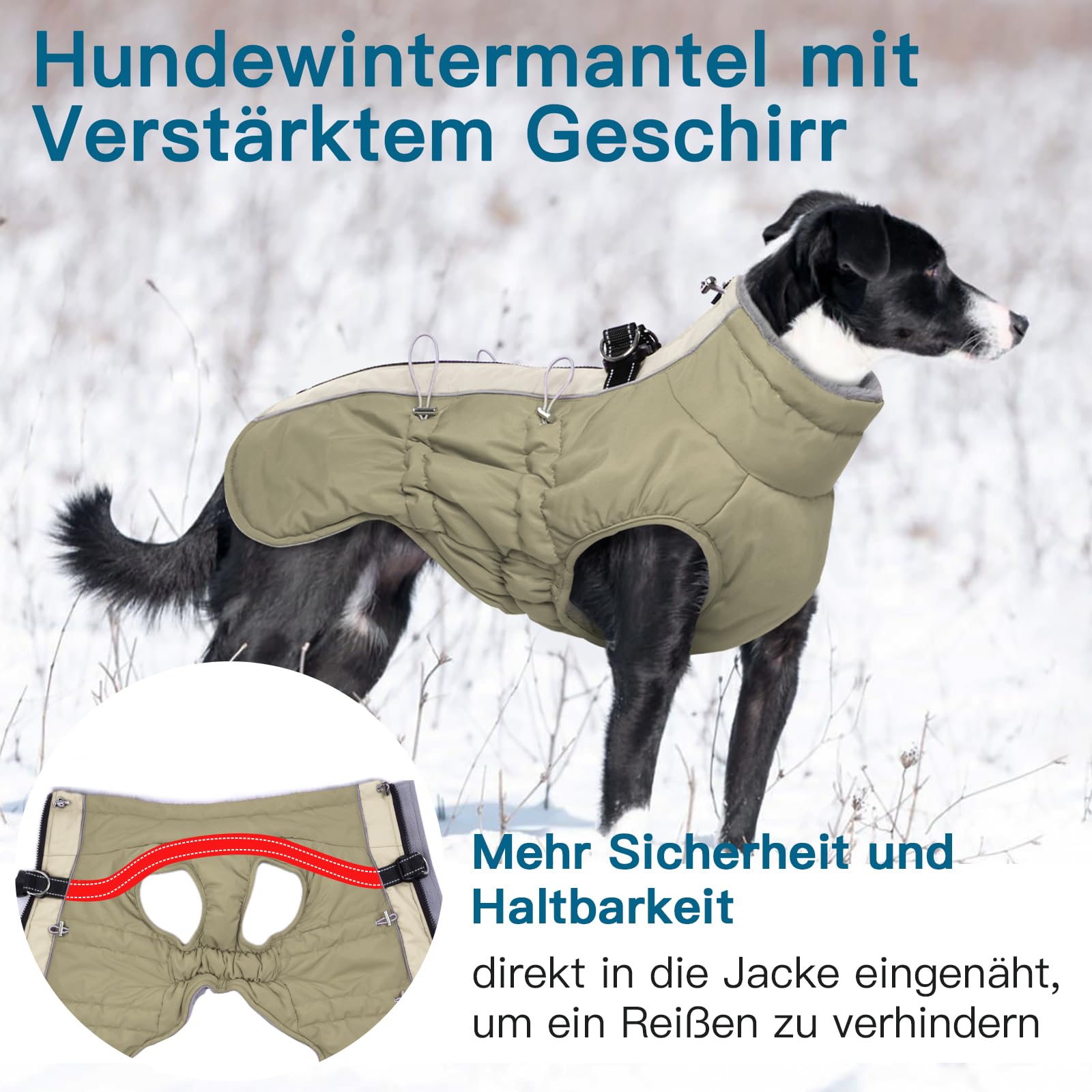 Cappotto invernale per cani grande, resistente all'acqua, riflettente, con pettorina e chiusura lampo antiscivolo, caldo e morbido, Border Collie, Dalmata, Albicocca, XL