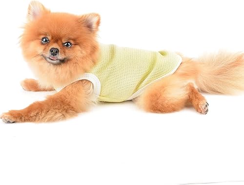 Miniatura 11 de SMALLLEE_LUCKY_STORE Linda camiseta de punto gofre con oso para cachorros, para perros pequeños y medianos, gatos, niños y niñas, camiseta elástica