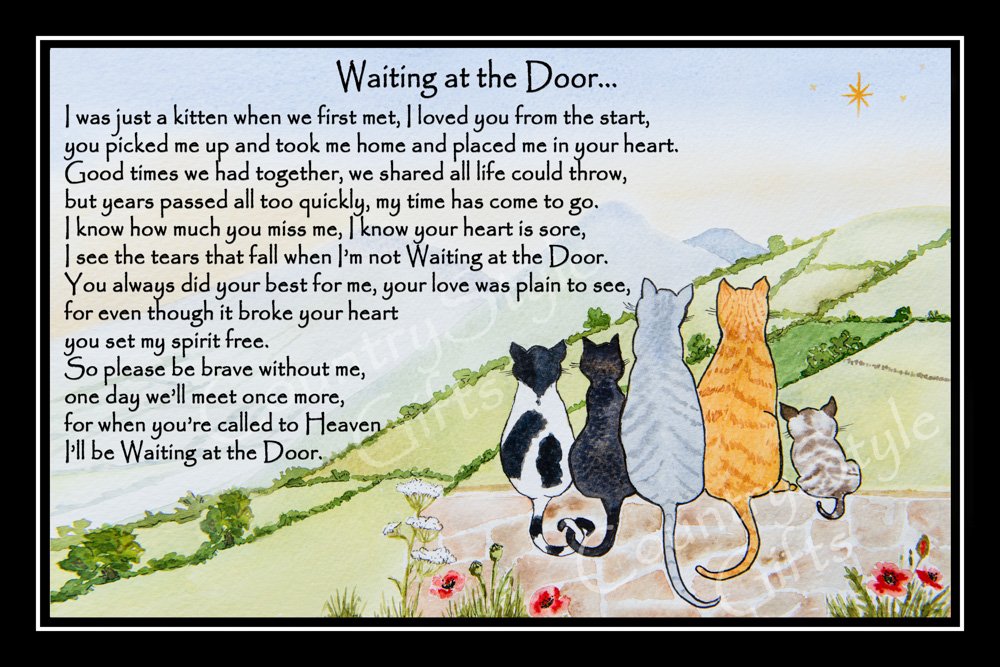 CountryStyle Gifts Cat Memorial Rainbow Bridge pet memorial Sympathy Print (unframed) - Waiting at the Door (9" x 6")