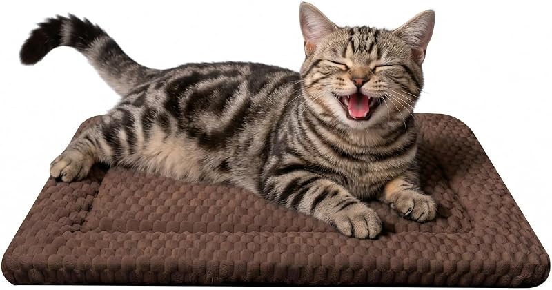 Cama Esteira Reversível para Gatos e Cães Extra Pequenos DTKIUSDKR Dbm-001 – 45,72 x 35,56 x 3,05 cm, 145 g
