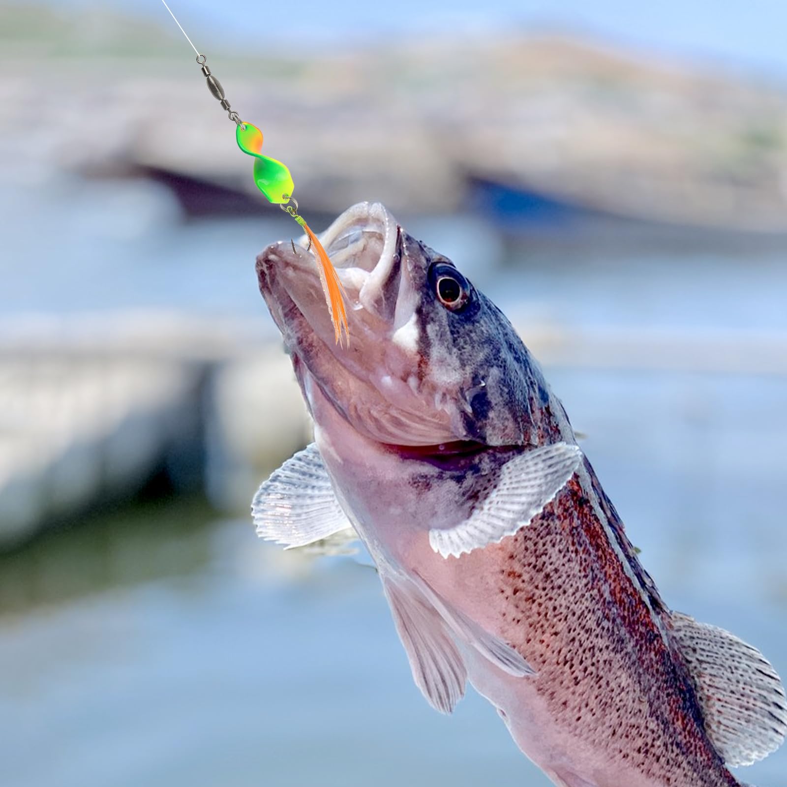 Set di 6 Esche Artificiali Spinning con Rolling Swivels Spoon Trout Area Colore Spoon Trota Resistenti All'usura Pesca Trota Lago per Spigole Trote Pesce Persico Salmoni Lucci e Granchi
