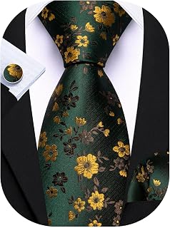 Barry.Wang Men's Floral Paisley Silk Blend Necktie Set with Pocket Square & Cufflinks - Wedding Business Formal Tie Kit