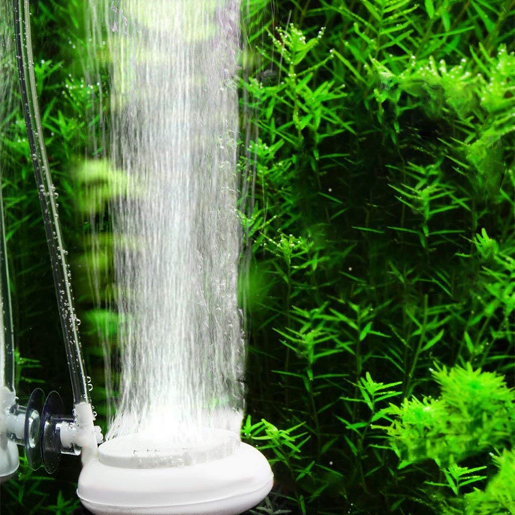 Tubo per Pompa dell'Aria, 100 m, per acquari e Giardini