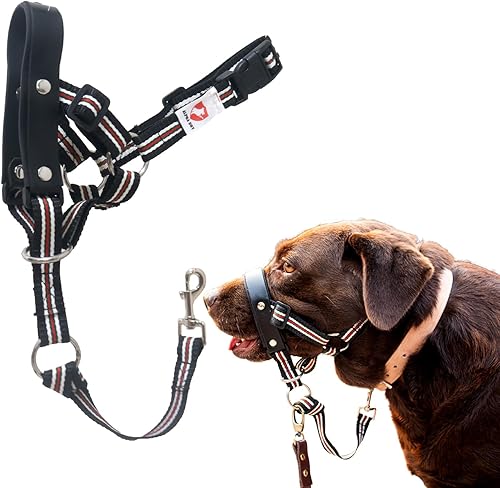 ALPHA BOY Collar de entrenamiento para perros, cómodo y suave para todas las razas, fácil de usar, correa de cuero genuino, arnés de una pieza con