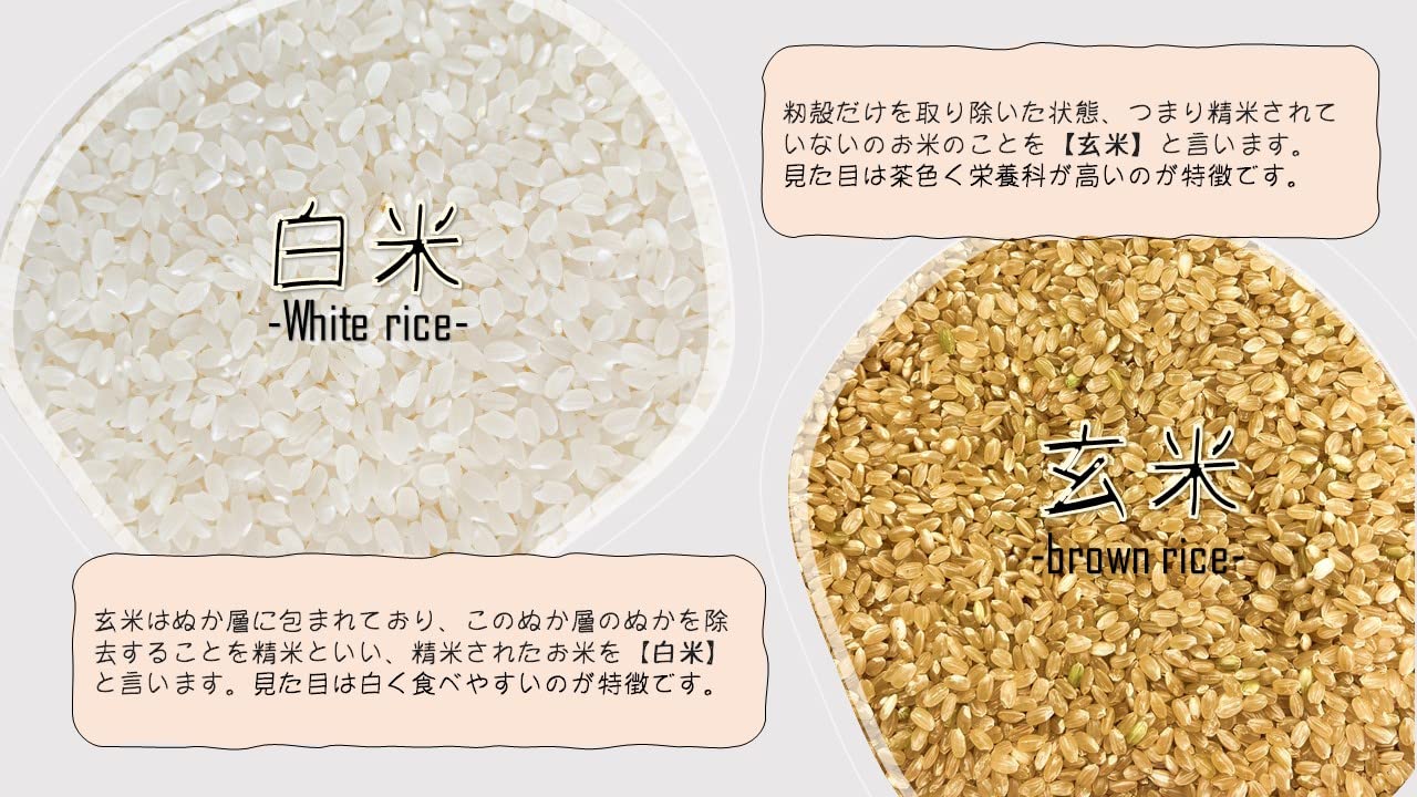 Amazon.co.jp: 令和7年産 魚沼産 コシヒカリ 玄米 30kg : 食品 
