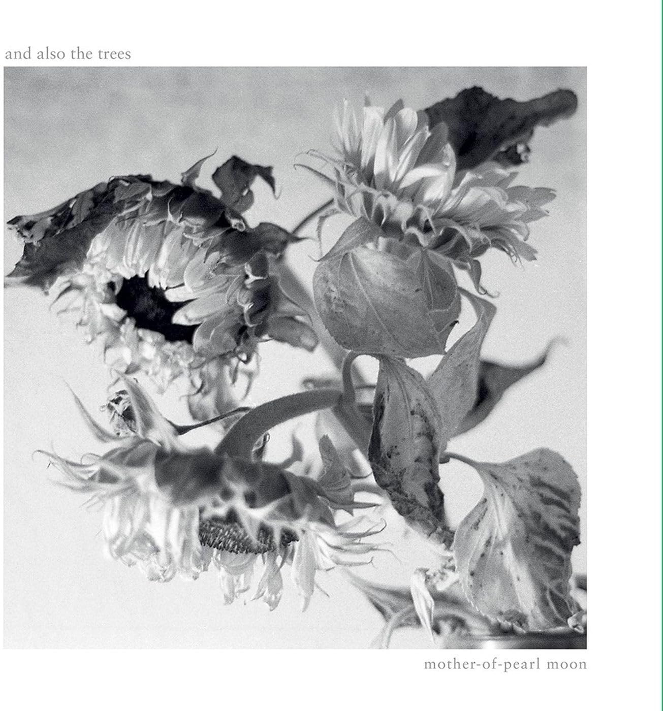 Mother-of-Pearl Moon [VINYL]