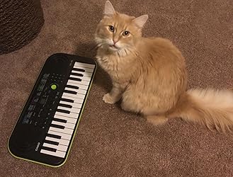 Customer Image, click to open customer review