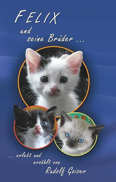 Portada de Felix und seine Brüder