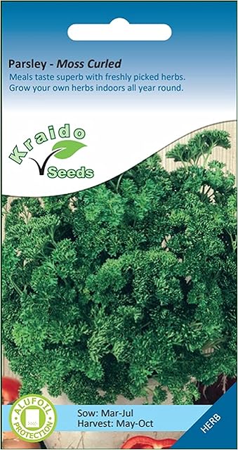 Kraido Parsley Moss Curled Herb 1500 Seeds (sow by Nov 2025) Petroselinum Crispum, Grow Your Own Herb Garden Indoors on a Windowsill or Outdoors in Pots and Containers