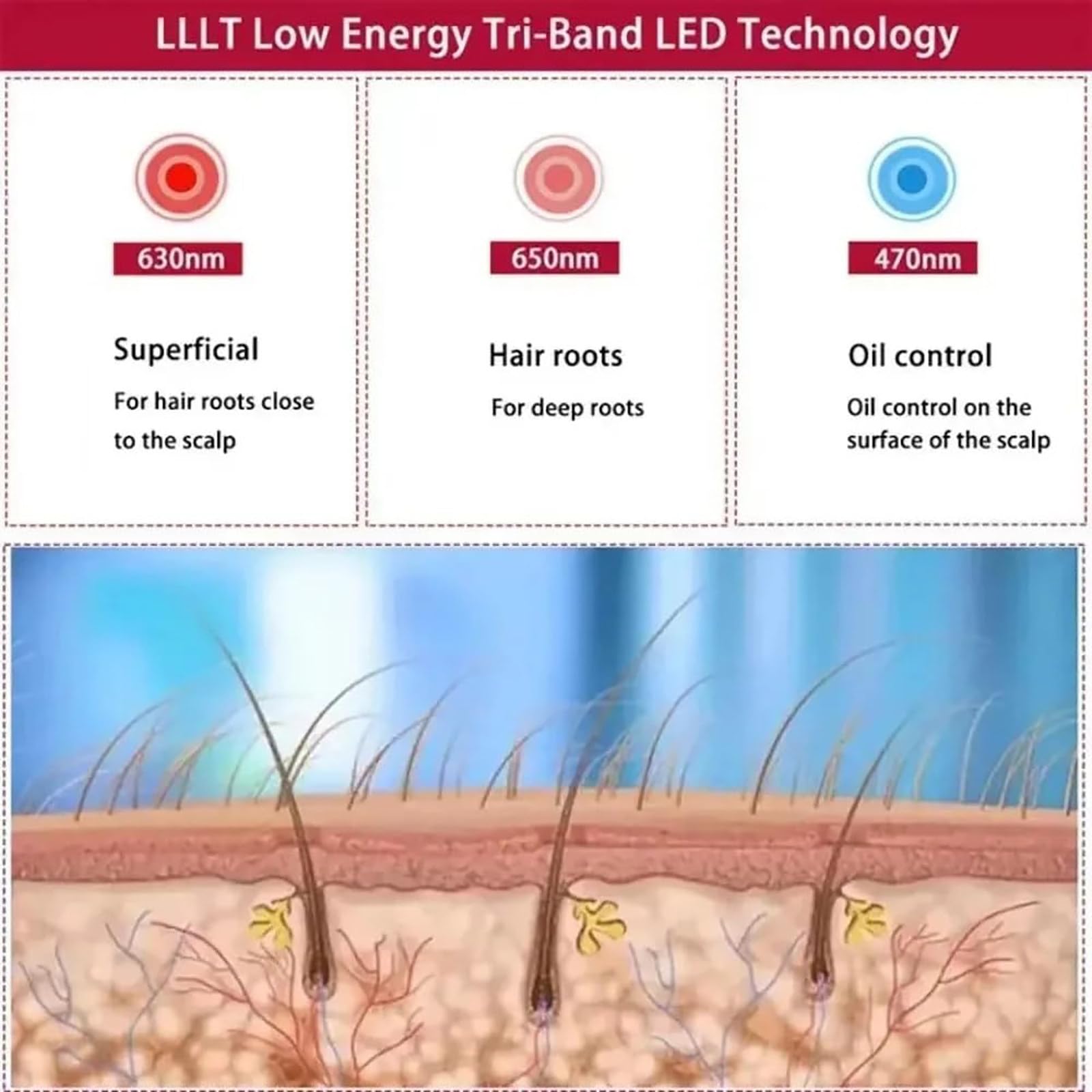 Gorro para El Crecimiento del Cabello (48 Led), Gorro para El Crecimiento del Cabello con Luz Roja Y Azul, 4 Modos, Control De Aceite, Promueve El Crecimiento RáPido del Cabello