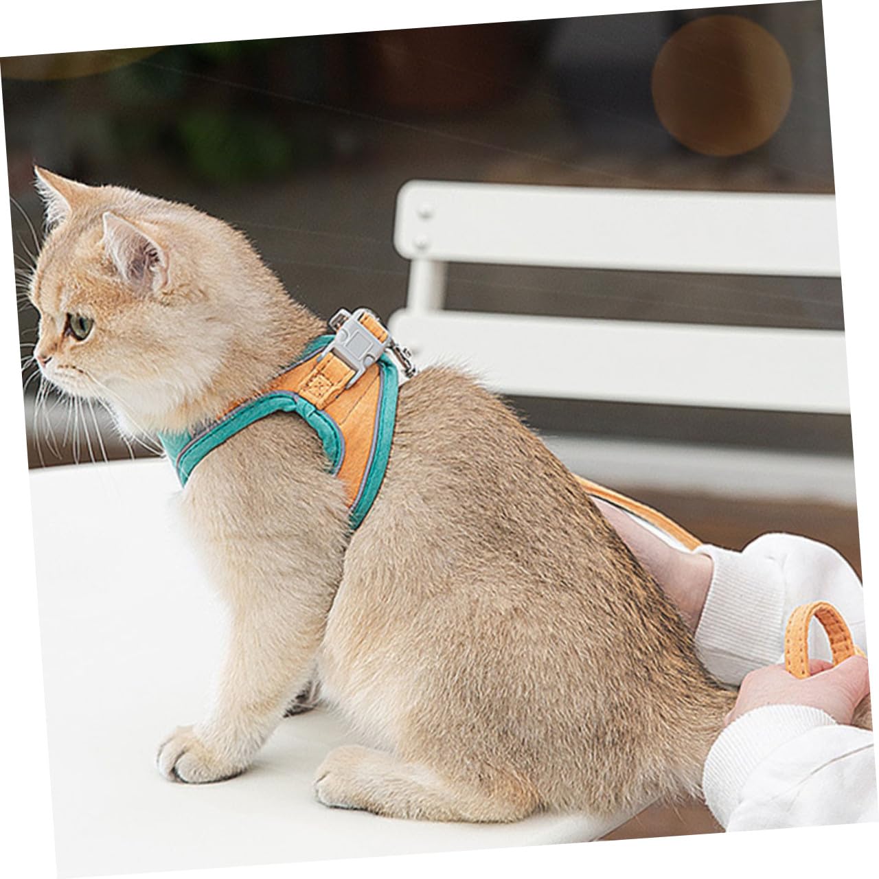 Didiseaon 3juegos Arnés Reflectante Ajustable para Gato Antiescape Arnés De Cómodo y Transpirable para