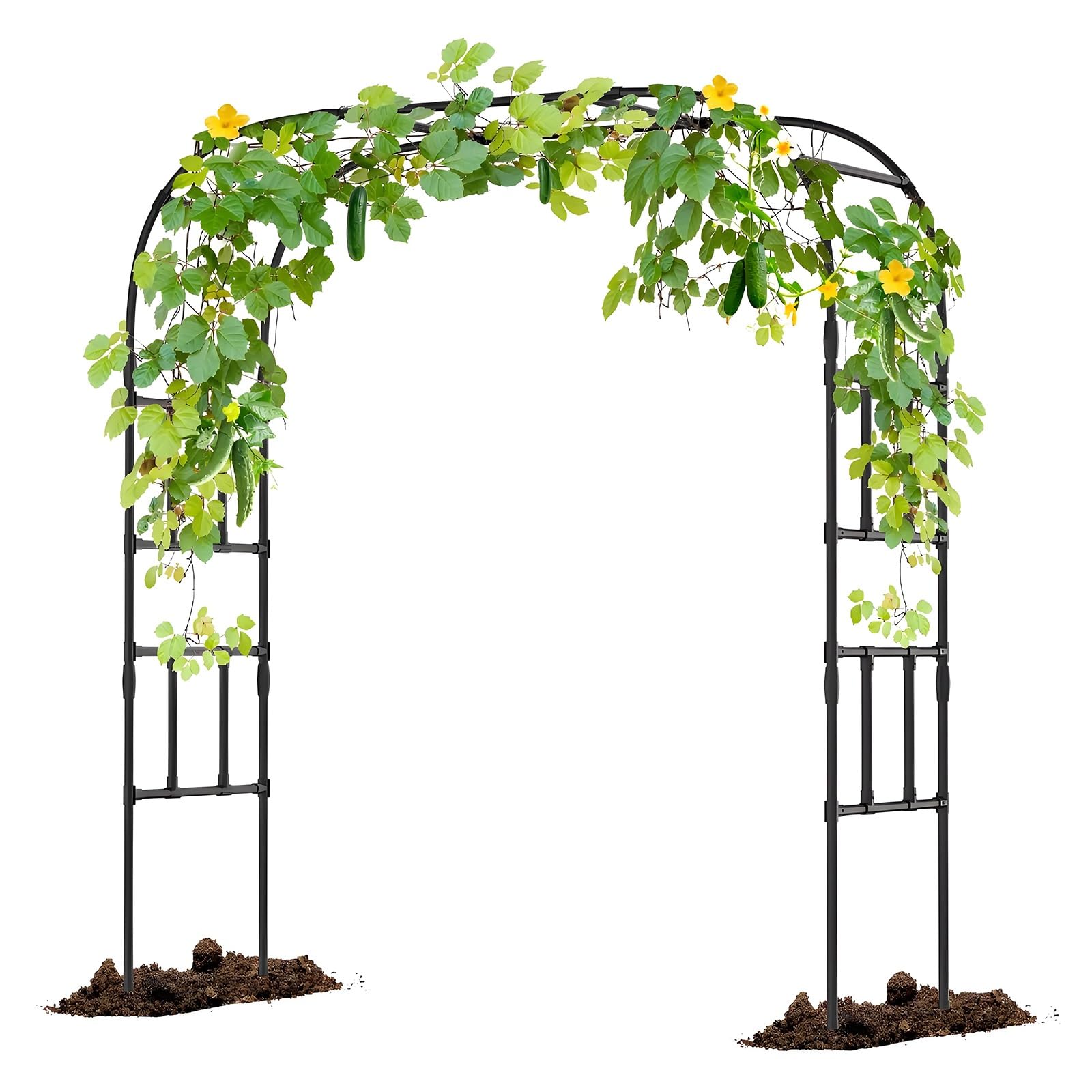 Arche de jardin en métal noir pour une décoration de mariage en plein air