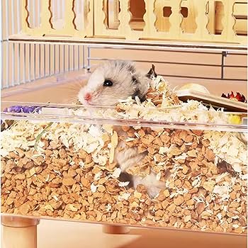 モモンガ ゲージ 小動物 Amazon | ハムスターケージ クリア 飼育ケージ 大きい 小動物