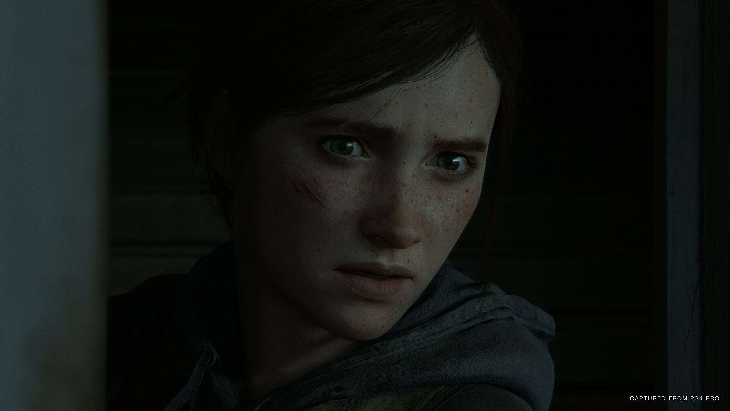 The Last of Us 2 - Special Edition - PlayStation 4