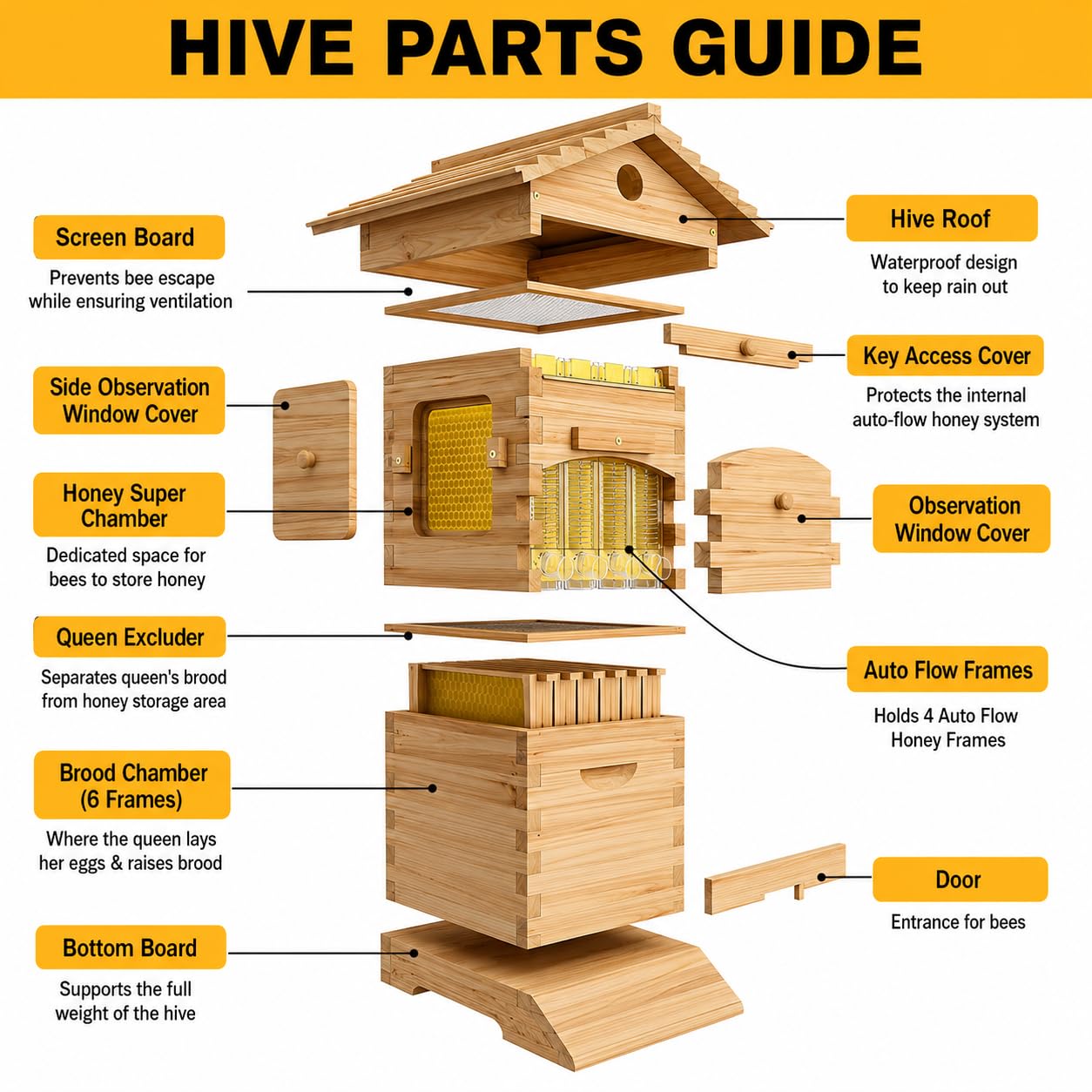 Kit ruche à flux vertical, ruche en bois, 4 cadres et 6 plateaux en nid