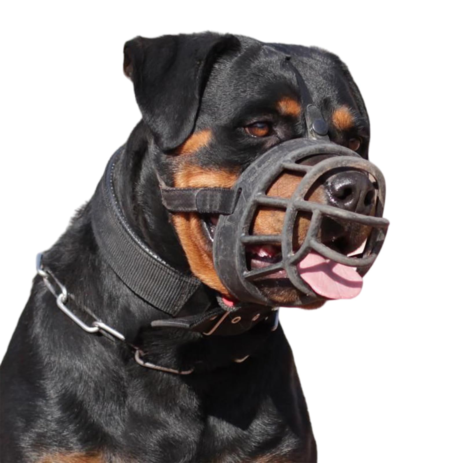 Kaganiec dla psa zapobiegający gryzieniu, oddychający, regulowany, humanitarny design, konstrukcja z przednim otwarciem, duży otwór do oddychania(Black Without Nose Pads,No. 3)