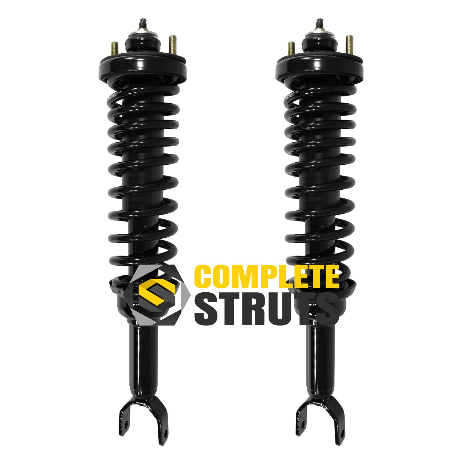COMPLETESTRUTS Rear Quick Complete Strut Assemblies with Coil Springs Replacement for 1992-1995 Honda Civic - Set of 2