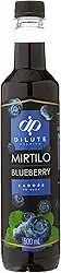 Dilute Xarope Blueberry/Mirtilo Sabor Blueberry / Mirtilo 500 Ml