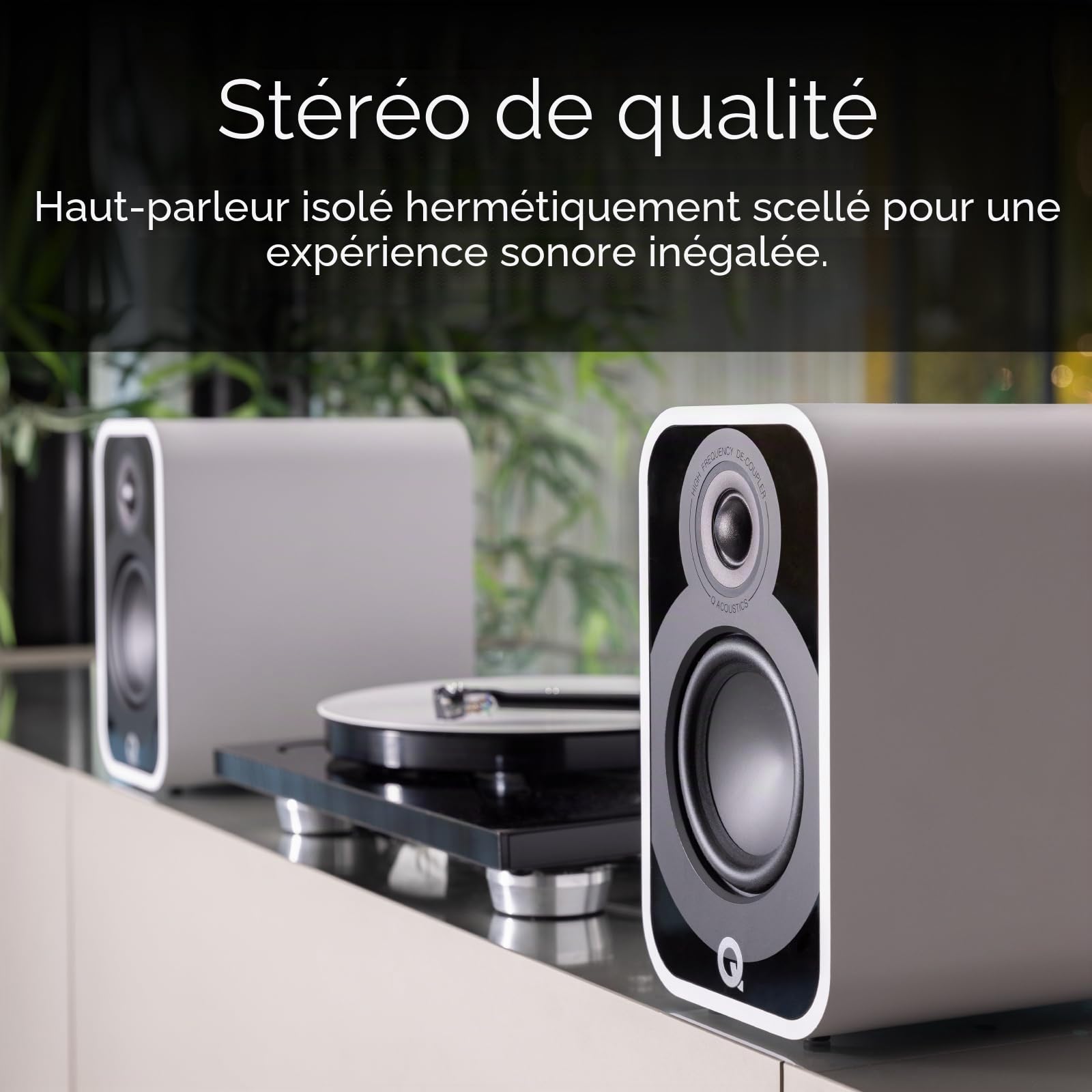 Q Acoustics 5020 Chêne clair - Enceinte Bibliothèque (la paire)