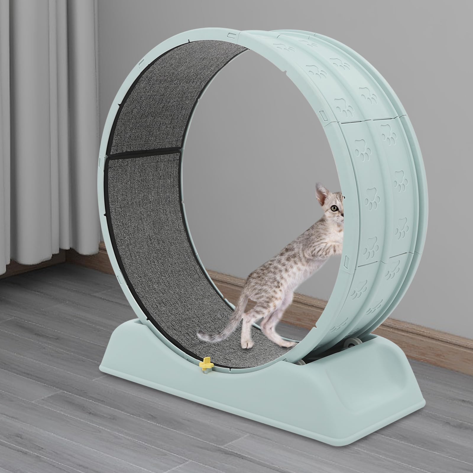 Rueda para gatos, rueda de correr para gatos, rueda silenciosa para gatos con hebilla de seguridad, cinta de correr interior con alfombra para correr y rascar, rueda para gatos, 80 cm de diámetro