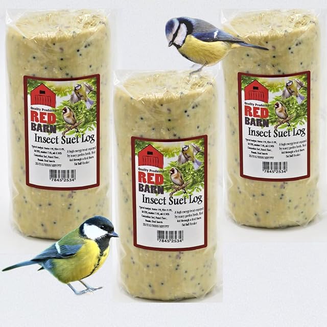 Red Barn Giant Suet Logs (575g), Delicious Insect or Berry Flavour, High Energy Wild Bird Food (Insect, 3 Giant Logs)