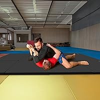 Vista 7 de BalanceFrom 6x4 Feet 4-Panel Folding Gymnastics Mat – 2-Inch Thick Pad with Vinyl Surface and Carrying Handles for Tumbling, Yoga, Pilates, Home