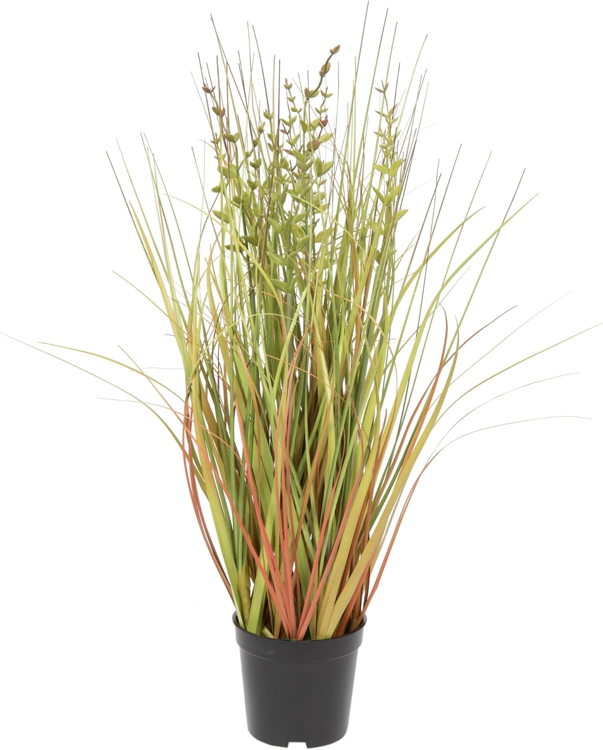Vickerman Everyday 24" Artificial Green and Brown Grass with Black Plastic Pot - Faux Grass Plant Decor - Home Or Office Indoor Greenery Accent