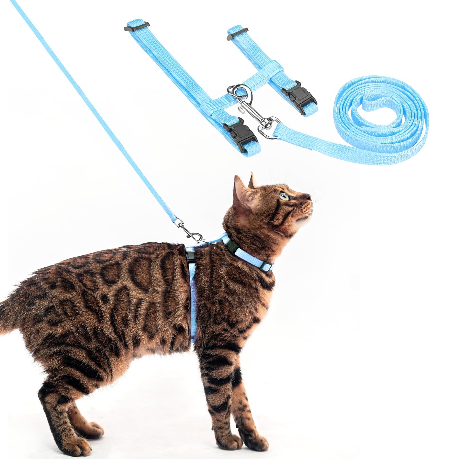 メルモママ襟付きハーネス&リードセット(ブルーローズ)わんちゃん猫ちゃん用 Amazon | PUPTECK 猫 ハーネス リードセット 猫用ハーネス 猫牽引