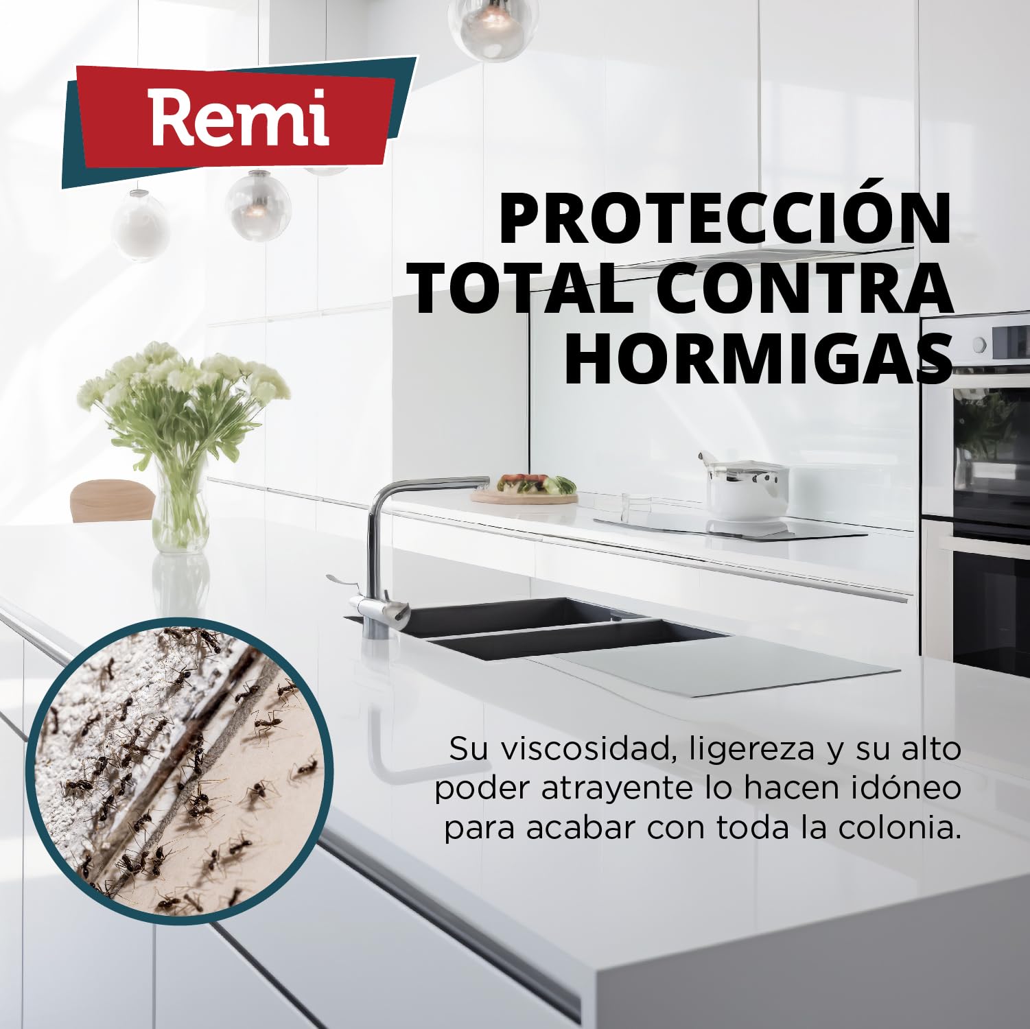 Remi Hogar Gel Hormigas Plus | Gel Insecticida Antihormigas en Jeringa | Cebo Insecticida Listo para Usar | Elimina Hormigas y el Hormiguero | Uso Interior | Alta Eficacia | Uso Doméstico
