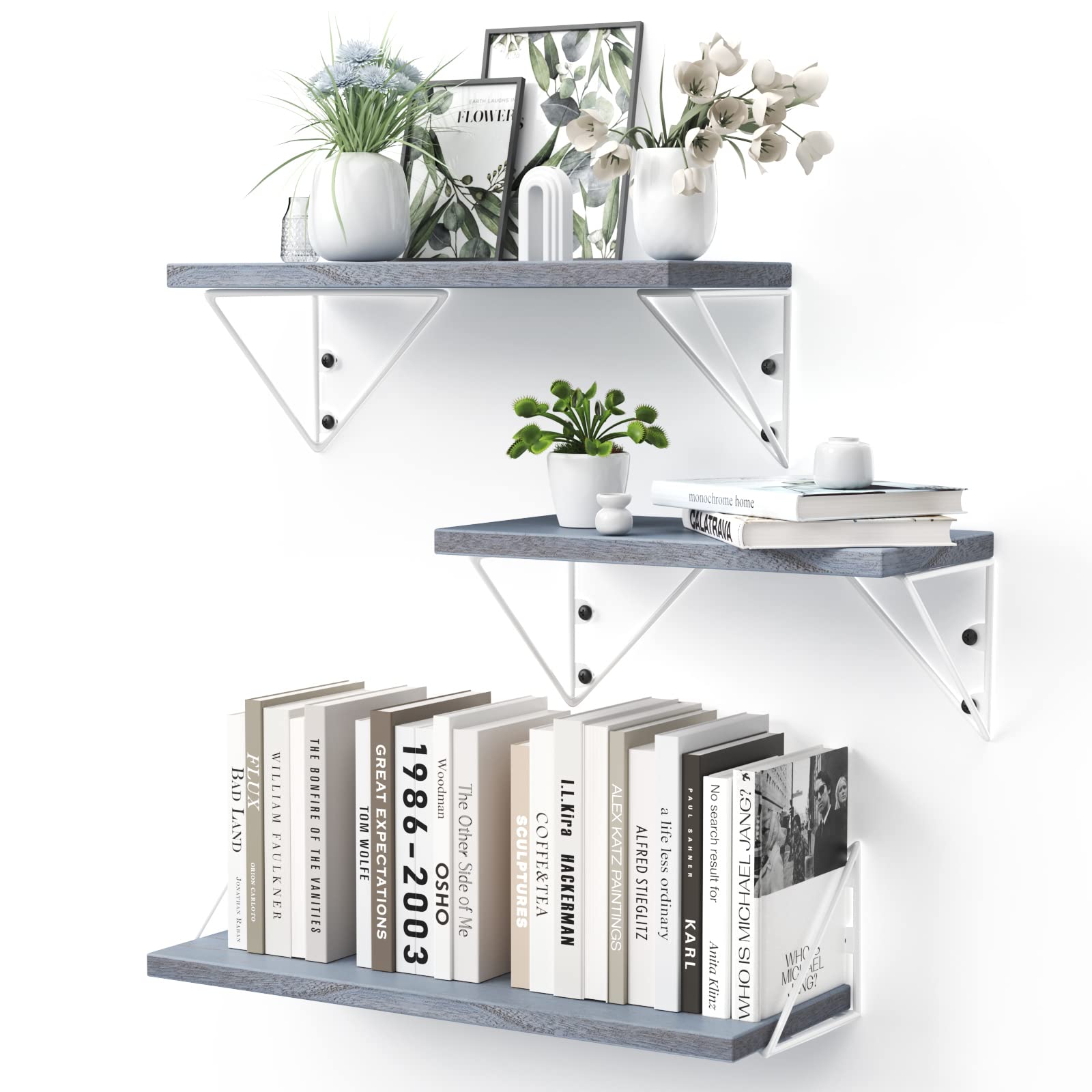 Buy BAYKA Floating Wall Shelves for Room Decor, Wall Shelves for Living