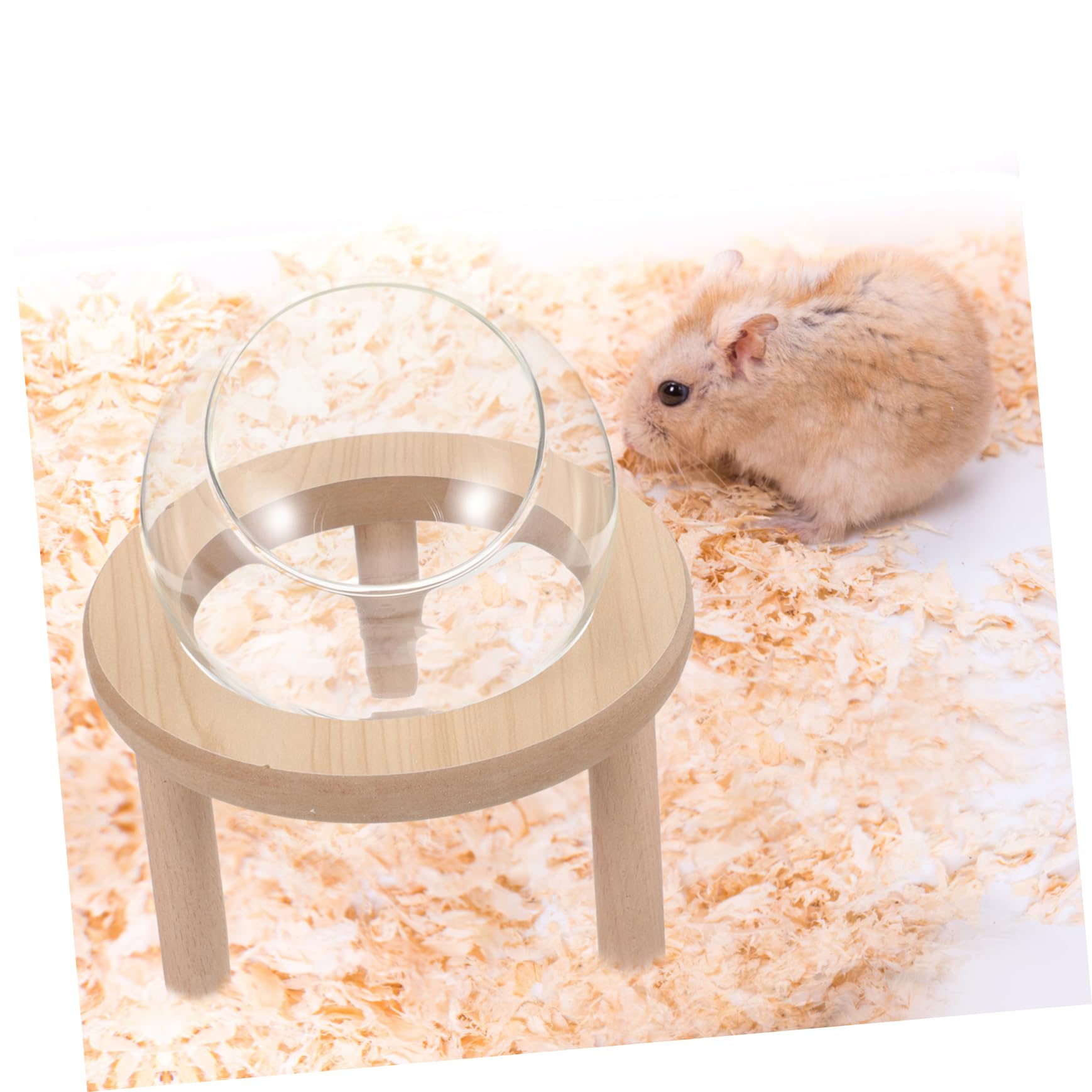 Toddmomy Transparente Sandbadewanne und Glas für Hamster und Meerschweinchen Verhindert Sandauslauf für Täglichen Gebrauch zu Hause
