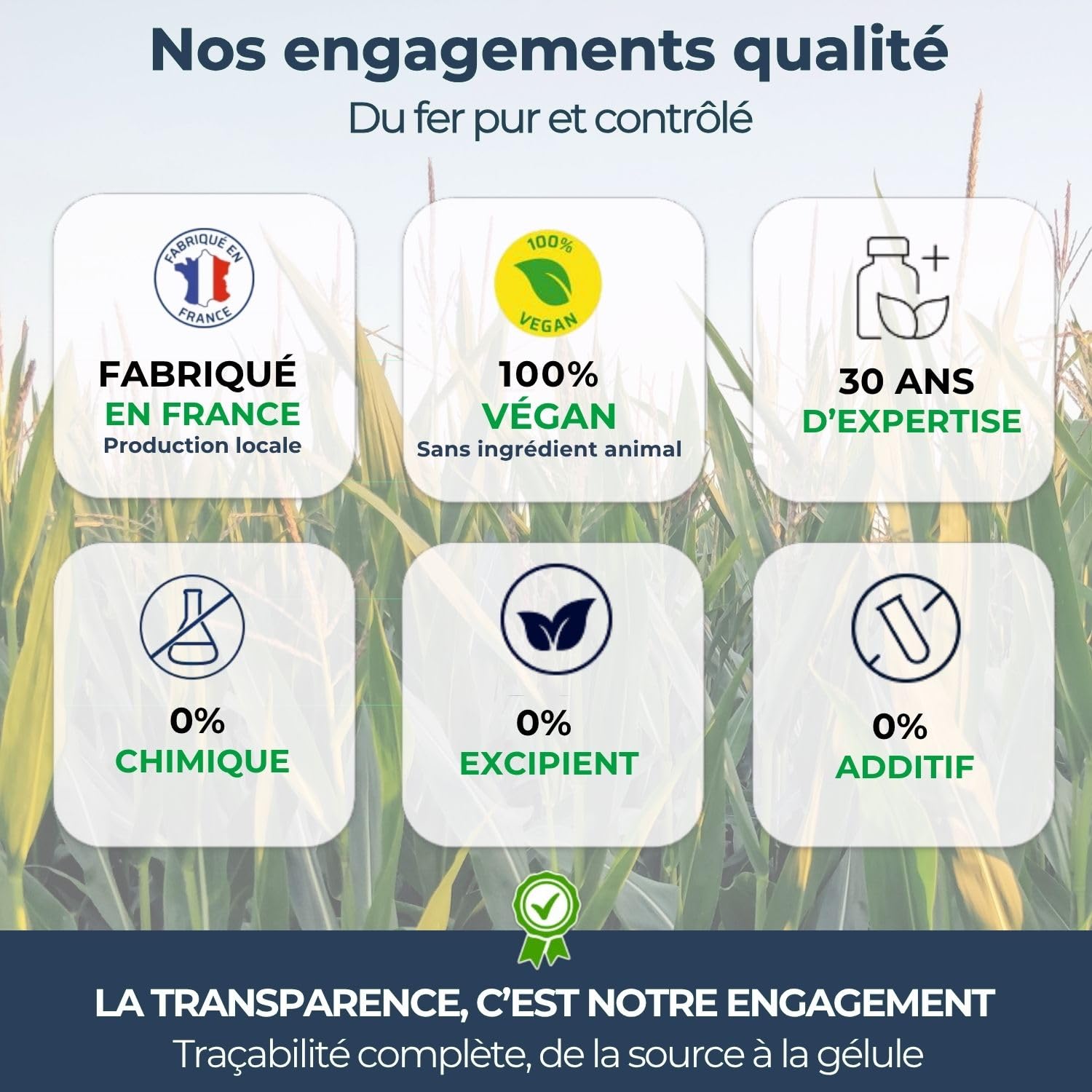 Biophénix Fer BIO 60 Gélules - Complément Alimentaire - 100% Naturel à Base de Végétaux - Contribue à la Réduction de la Fatigue - Fabriqué en France - 1 Gélule/Jours