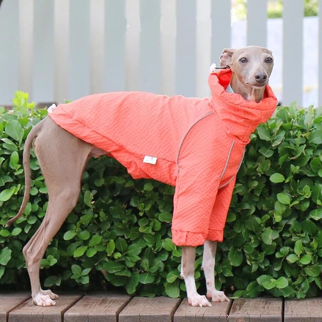 Foto 2 de 6 de IUOUTG Chaqueta Ligera para Perros Cortavientos, Chaqueta Deportiva Al Aire Libre para Mascotas De Cuello Alto